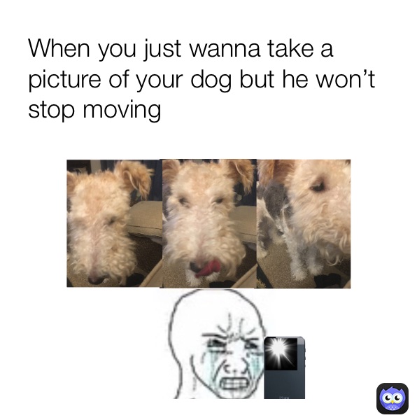 Meme by solaceramics