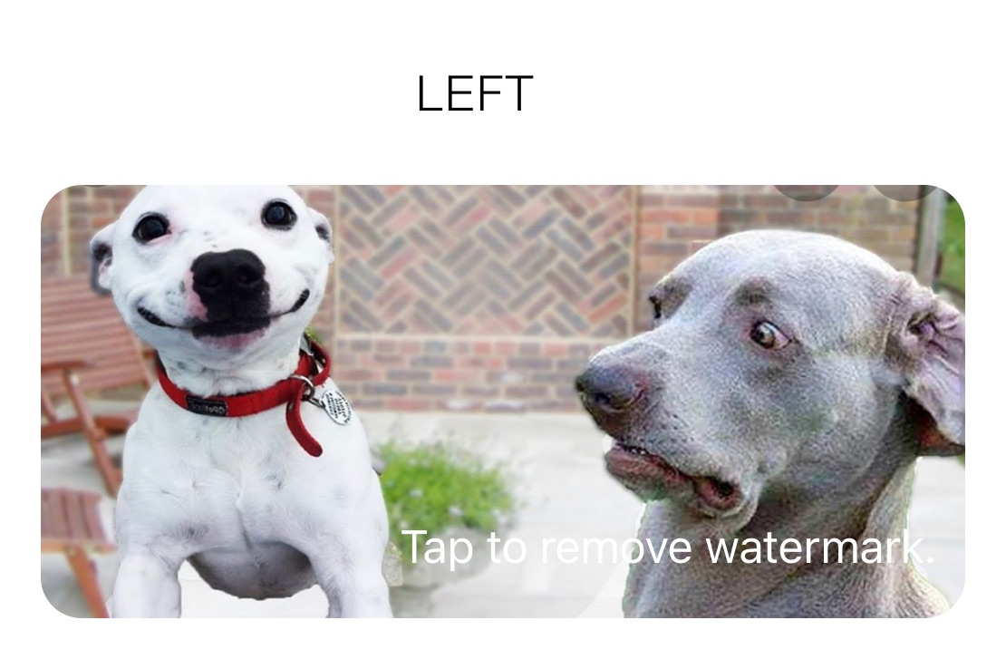                        LEFT