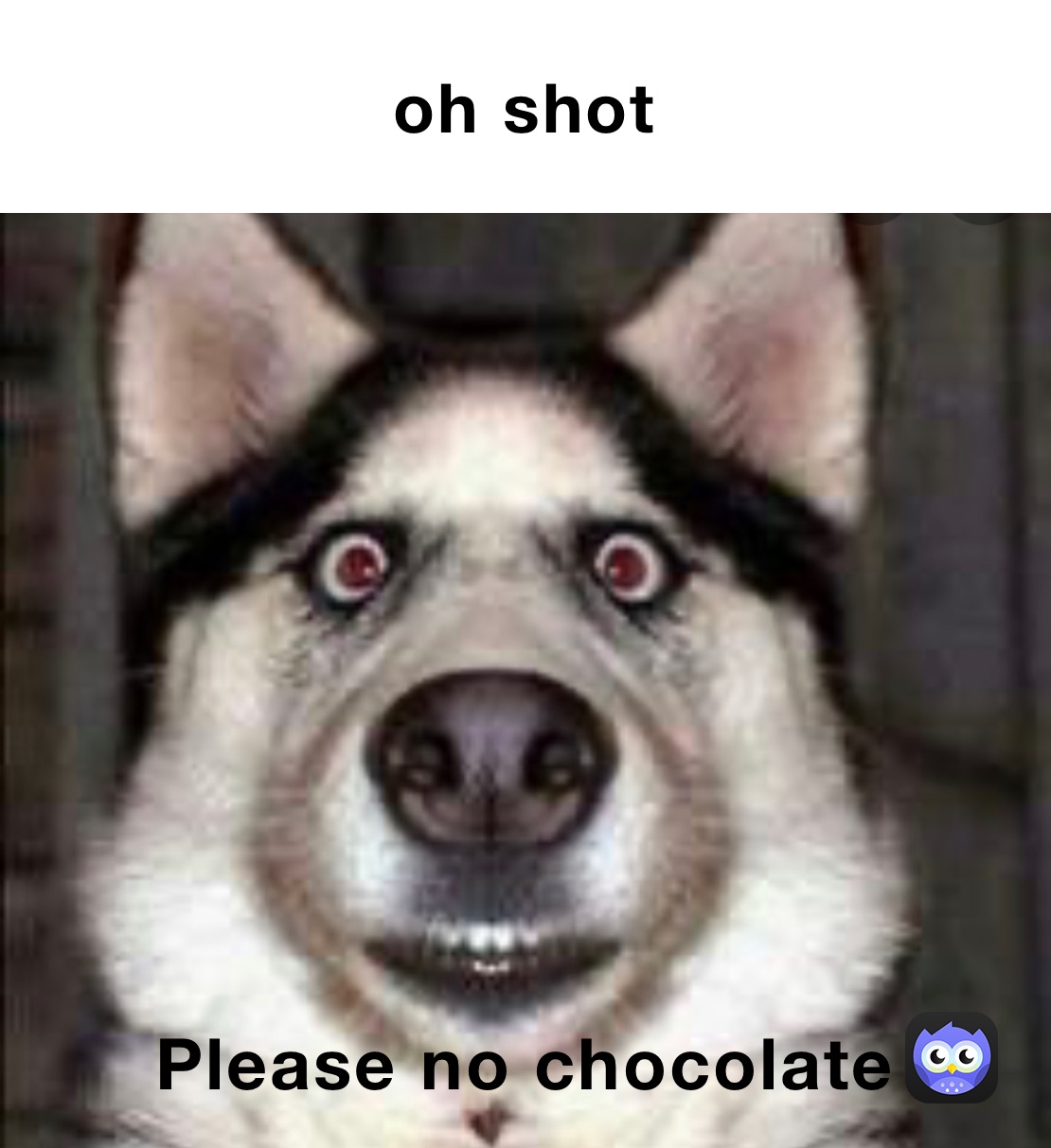 oh shot Please no chocolate