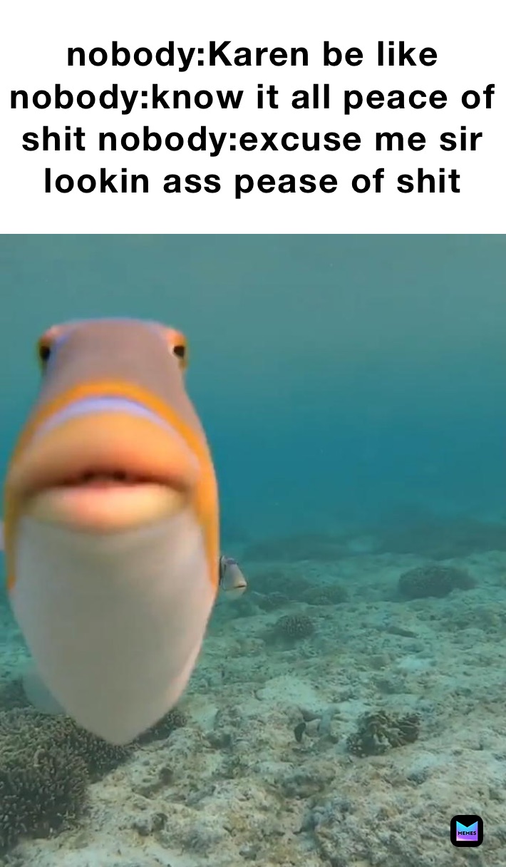 nobody:Karen be like nobody:know it all peace of shit nobody:excuse me sir lookin ass pease of shit