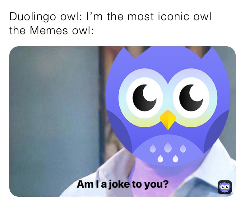 Duolingo owl: I’m the most iconic owl
the Memes owl: 