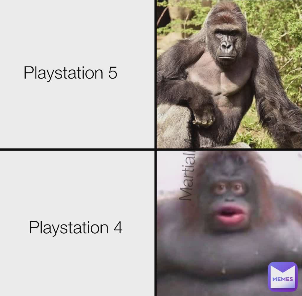 Playstation 5 Playstation 4 MartialMatt 