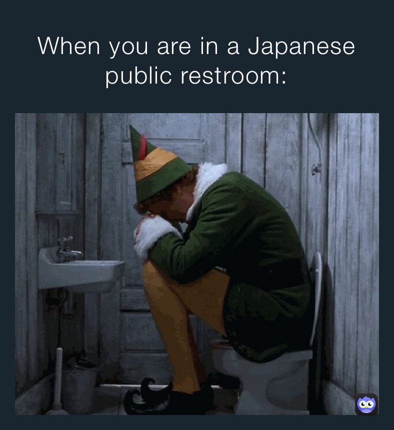 When you are in a Japanese public restroom: