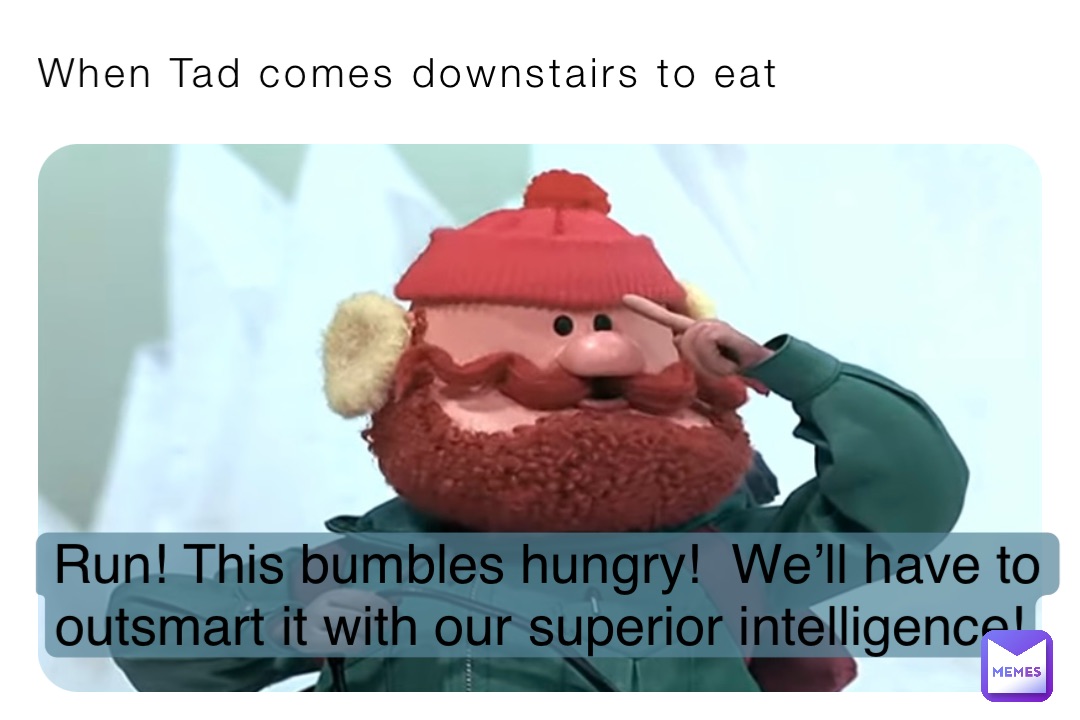 When Tad comes downstairs to eat Run! This bumbles hungry!  We’ll have to outsmart it with our superior intelligence!