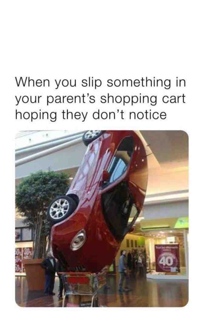 Meme shared by @KnightOfMemes