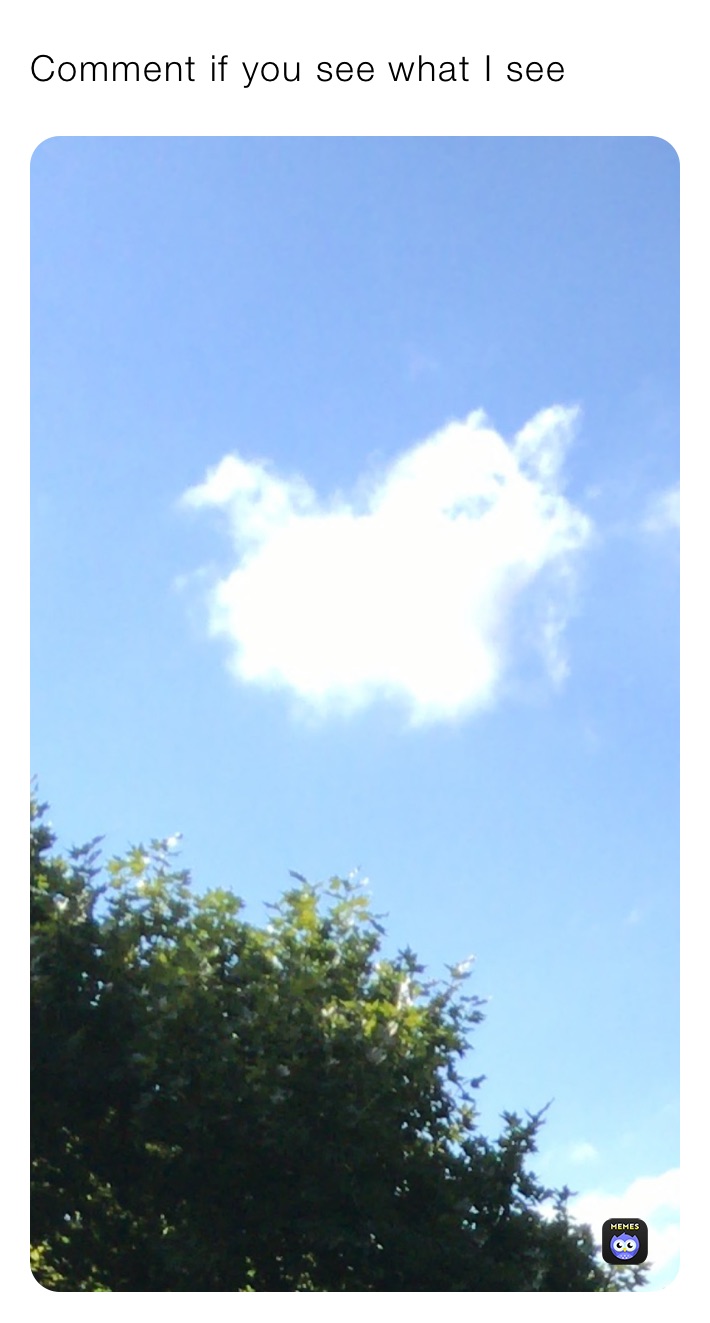 Comment if you see what I see