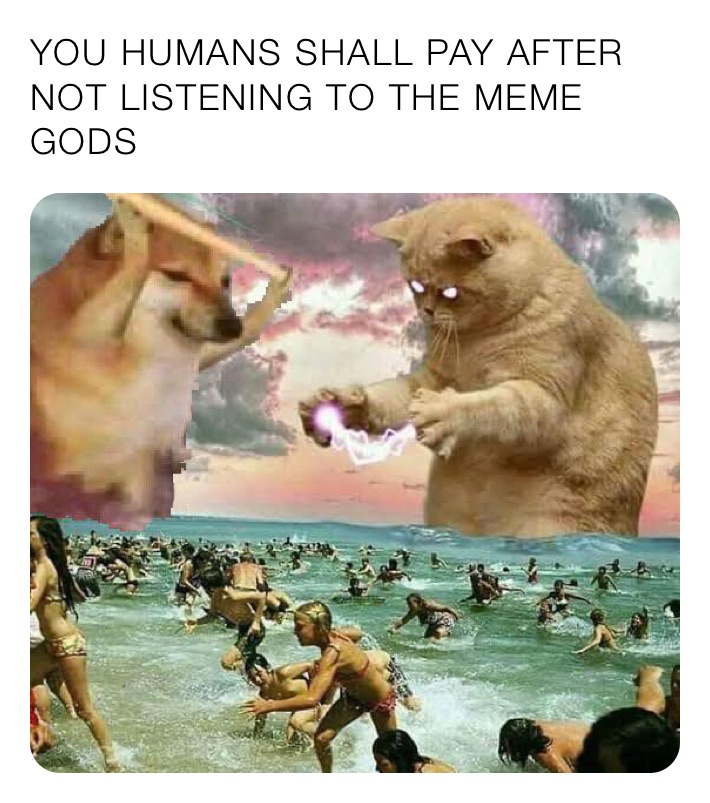 YOU HUMANS SHALL PAY AFTER NOT LISTENING TO THE MEME GODS