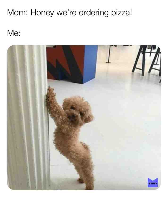 Literally me \ud83d\ude06\ud83d\ude0b
What\u2019s your favourite type of pizza?
Mines Pepperoni \ud83d\ude1c
-
Tags\ud83d\ude18
#food #dog #memes #pizza #order #yummy #yum #hungry #petdog #pet