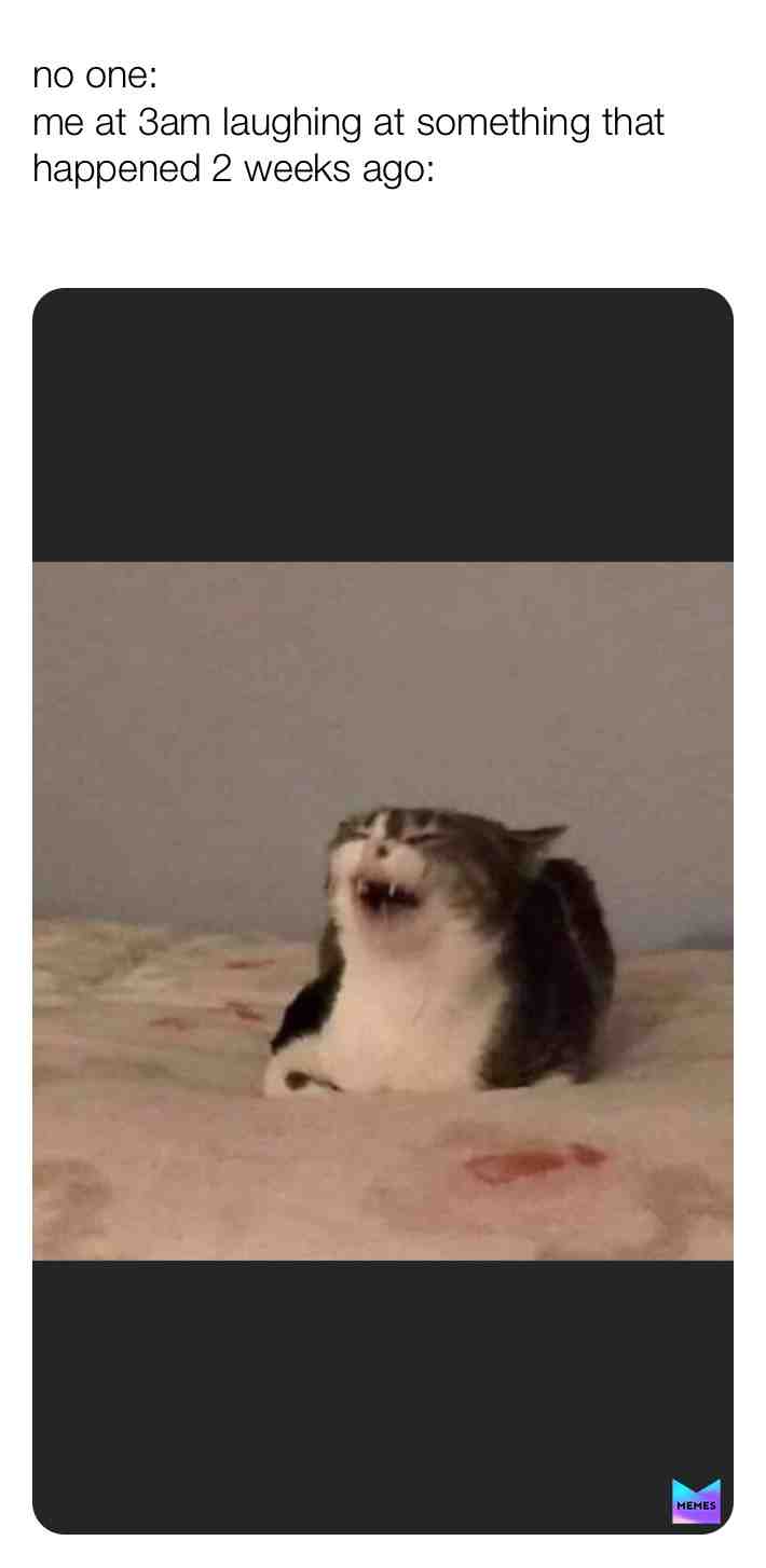 hahaha #meme #funny #lmao