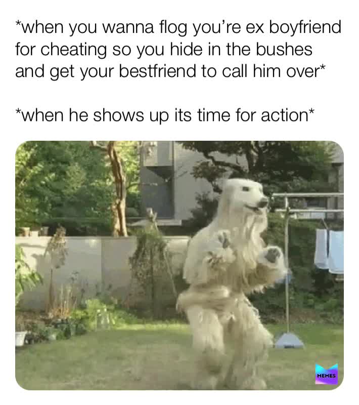 #memes  #foryou  #funny  #actualfacts  #funnyhumour  #lovememes  #lol  #likeandfollow 😂😂😂