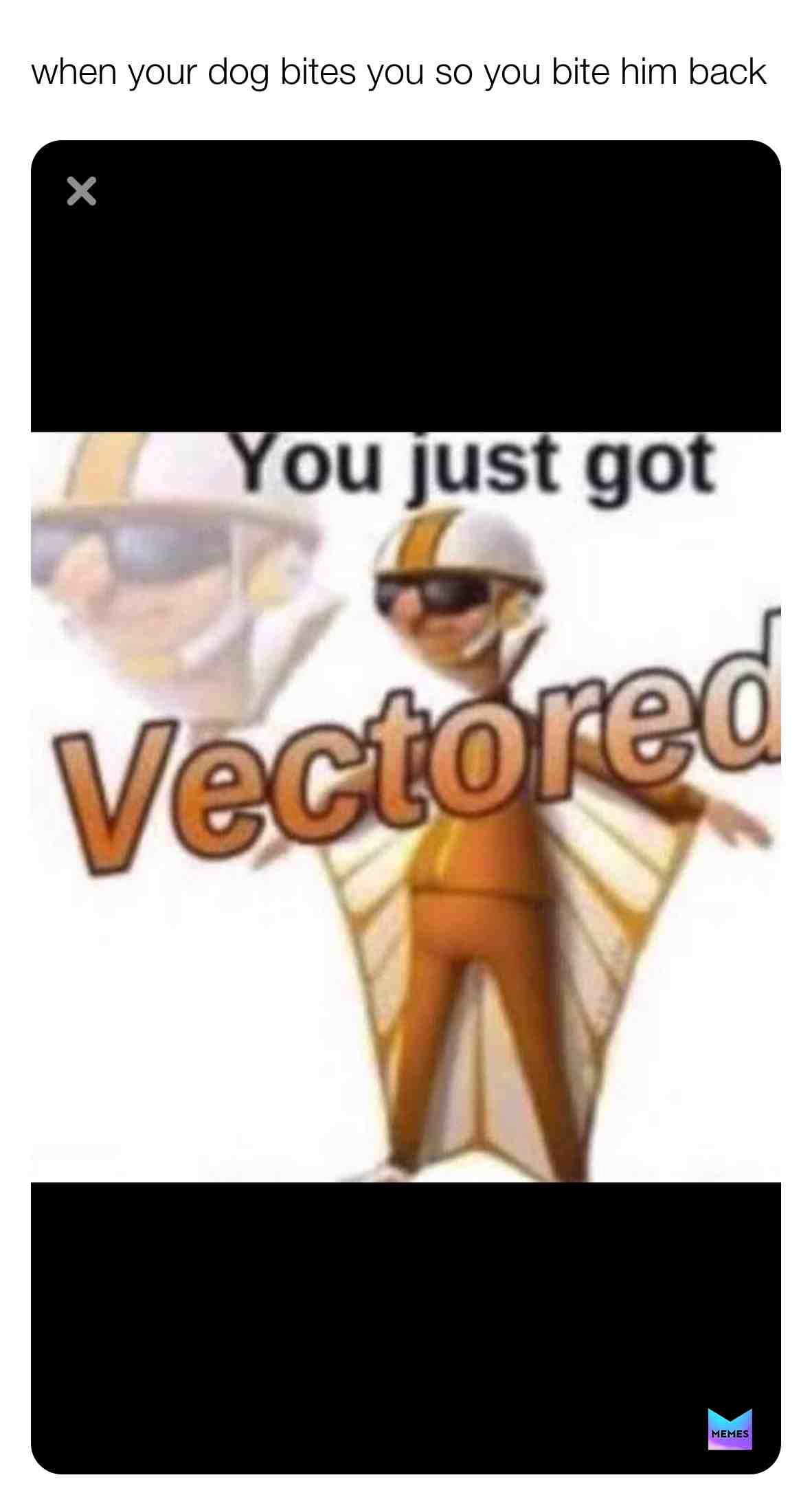 Meme preview