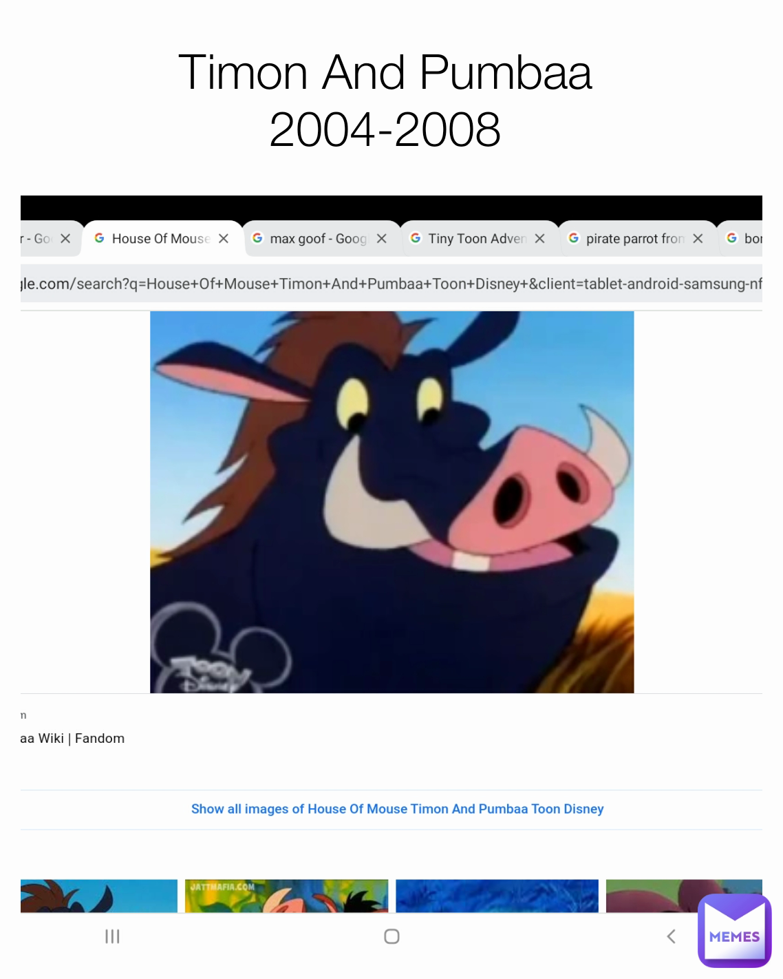 Timon And Pumbaa 
2004-2008 