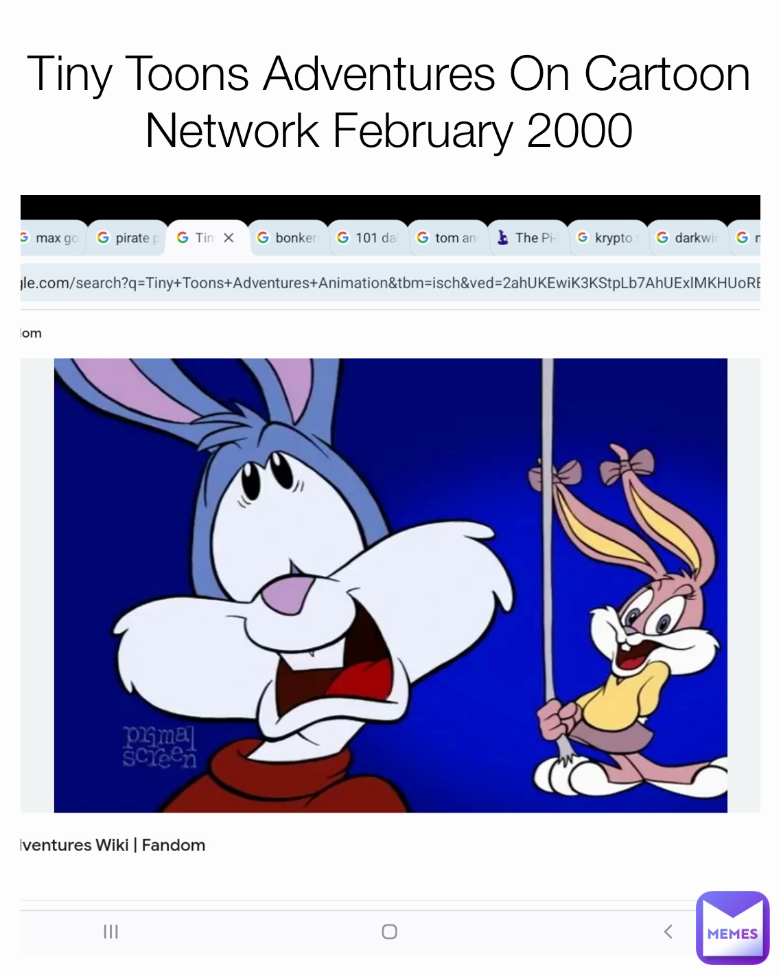 Tiny Toons Adventures On Cartoon Network February 2000