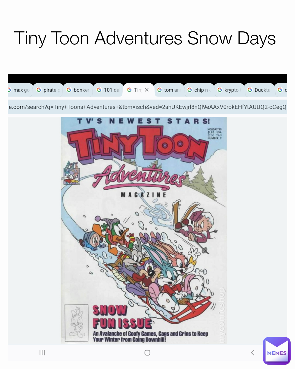 Tiny Toon Adventures Snow Days 