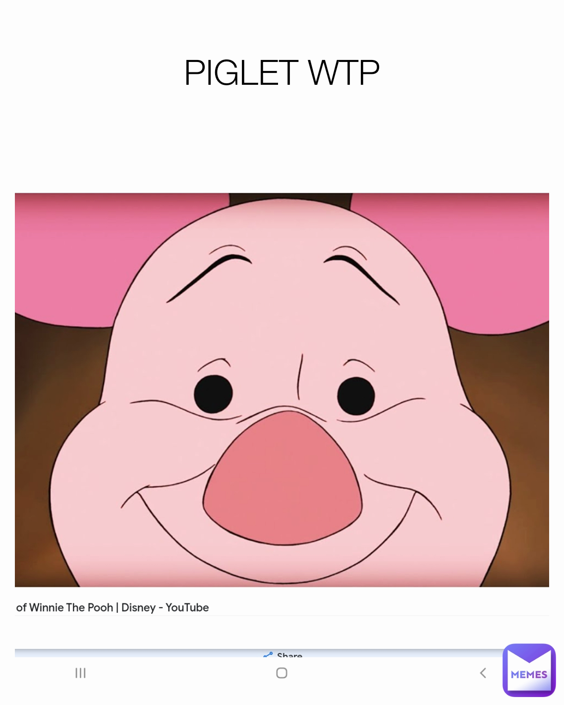 PIGLET WTP