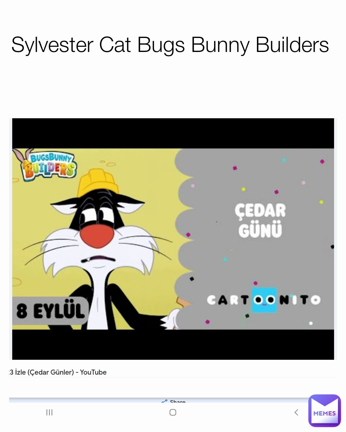 Sylvester Cat Bugs Bunny Builders 