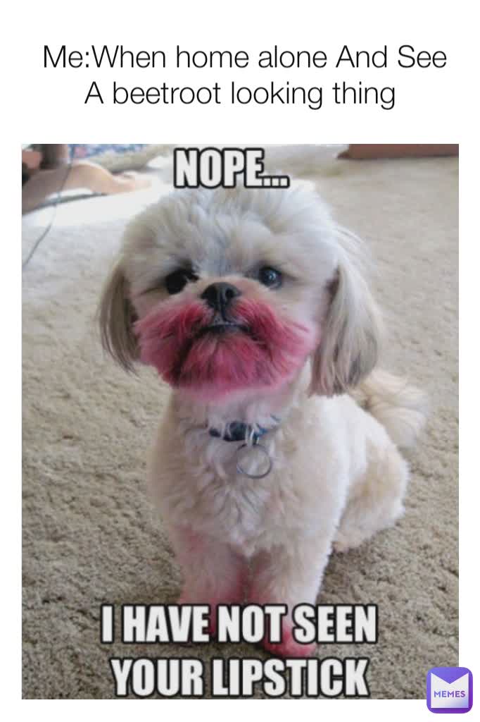  Me:When home alone And See A beetroot looking thing