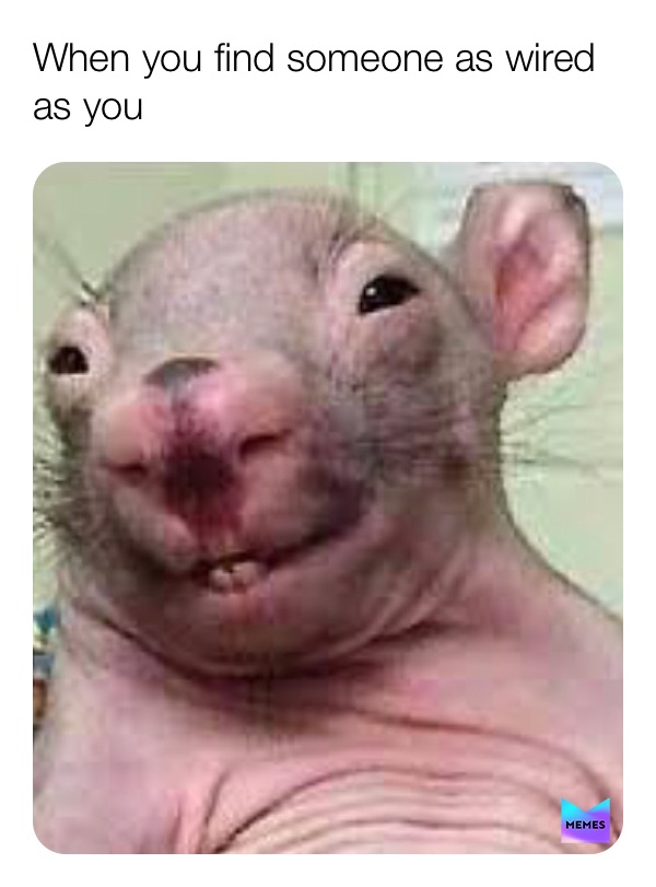 Meme by caitlin_the_meme_kween_