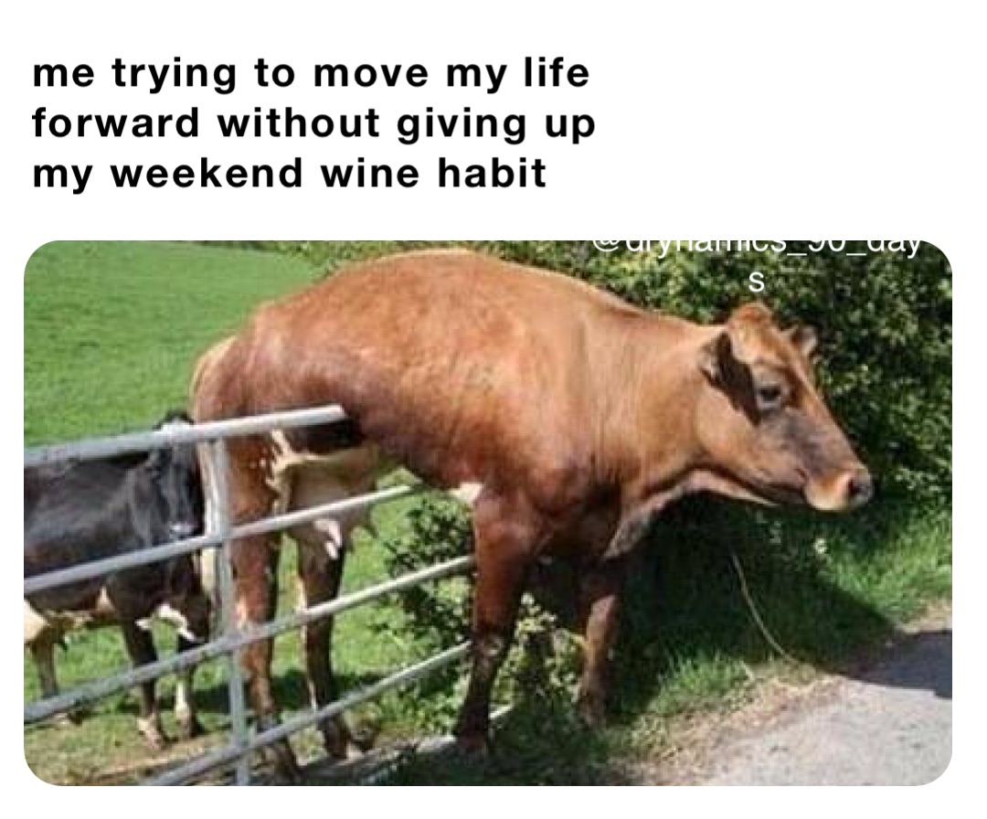 me trying to move my life forward without giving up my weekend wine habit @drynamics_90_days