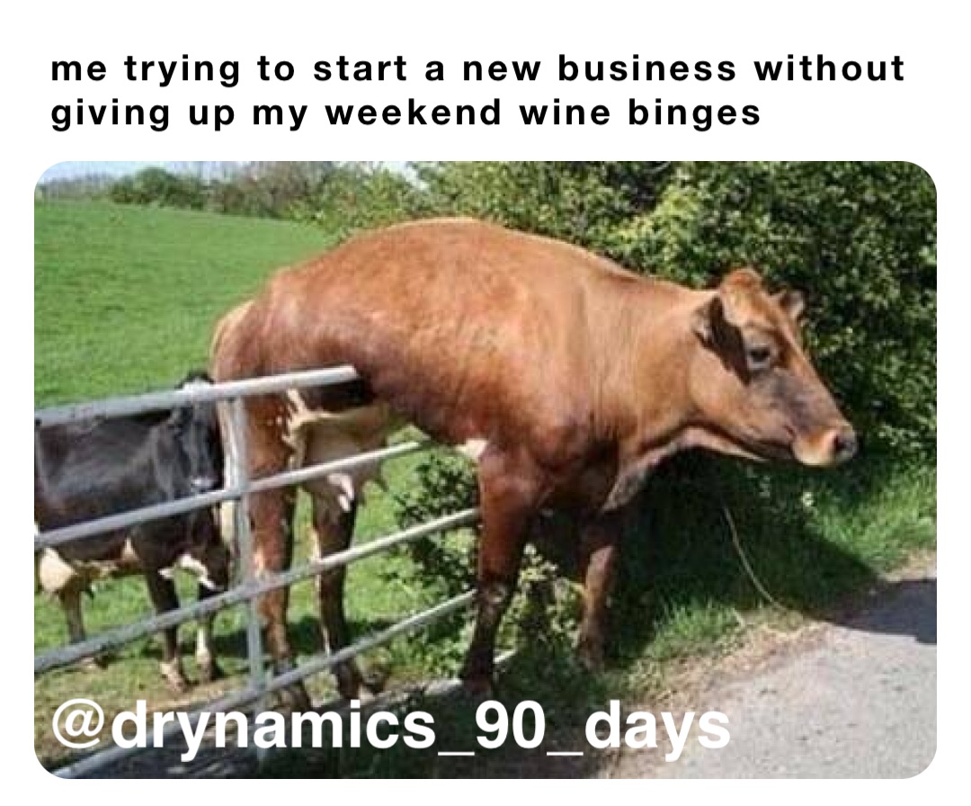 me trying to start a new business without giving up my weekend wine binges @drynamics_90_days