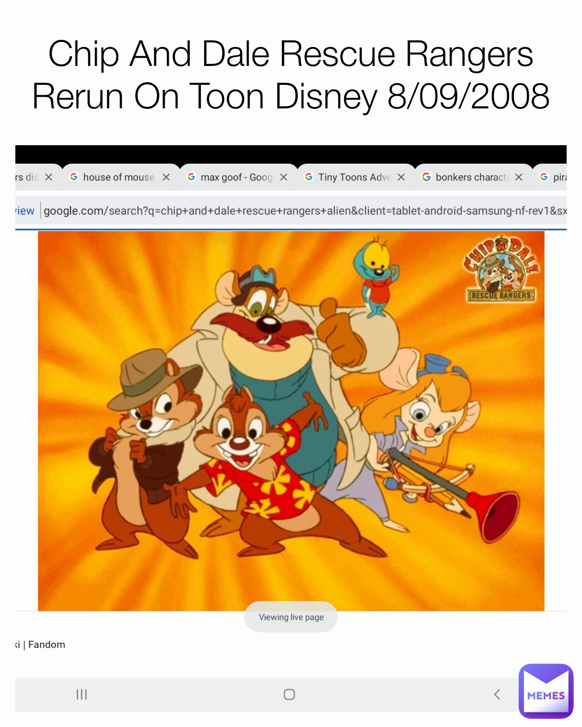 Chip And Dale Rescue Rangers Rerun On Toon Disney 8/09/2008