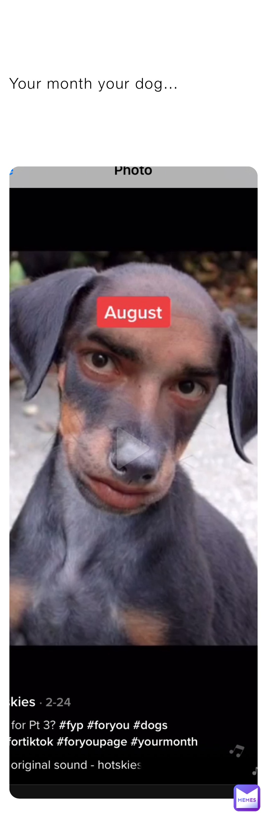 Meme by yourlocalguy