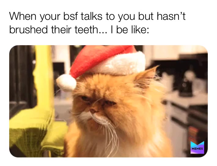 I don’t think this one has been done with this meme yet before so I decided... perfect. I’ll take this chance haha  #meme  #ewww  #whytho  #cat  #lame