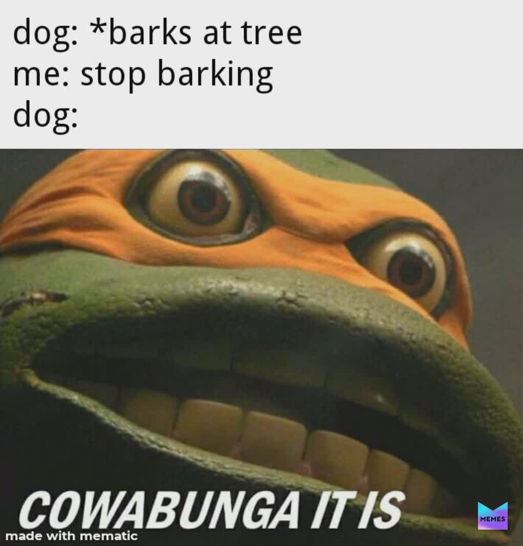 Meme by ScrappyLogan977