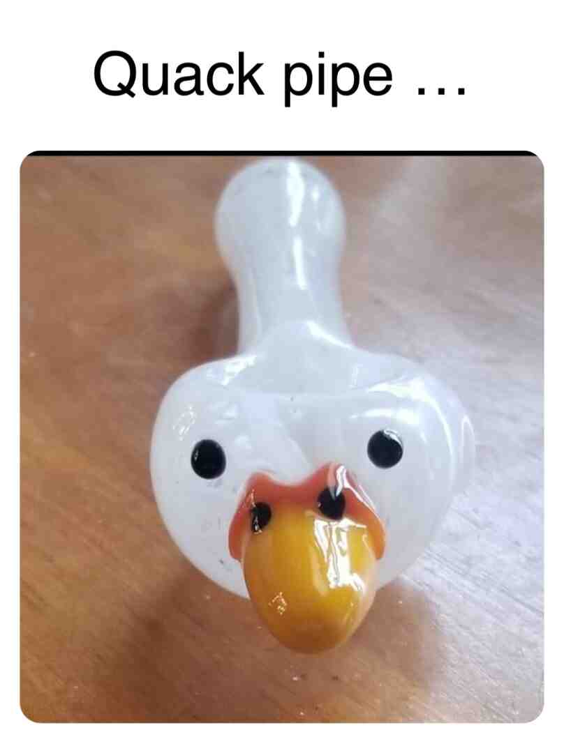 Meme shared by @bulbmin_memes