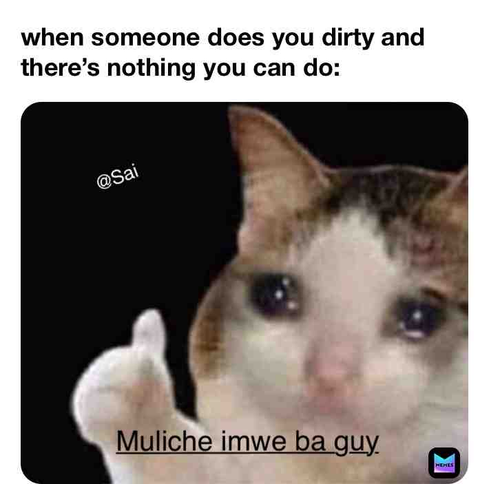 Meme shared by @Saidizo