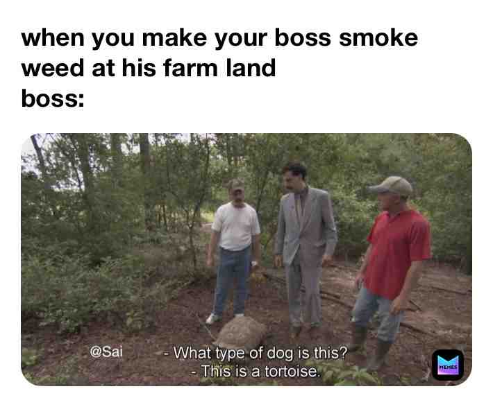 Meme shared by @Saidizo