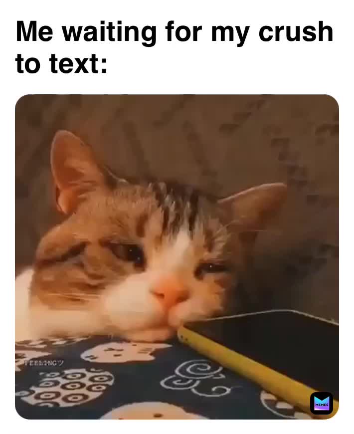 Everytime 😭😂