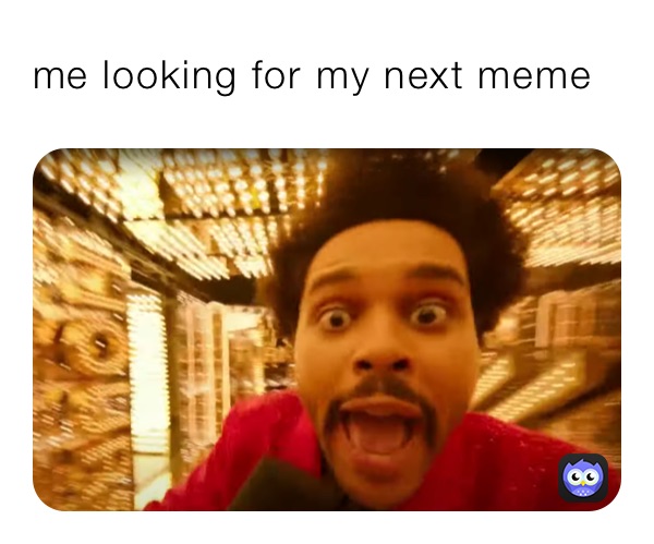 me looking for my next meme