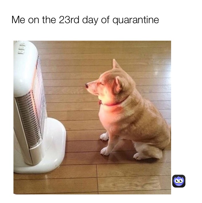 Meme by Da_meme_Bomber