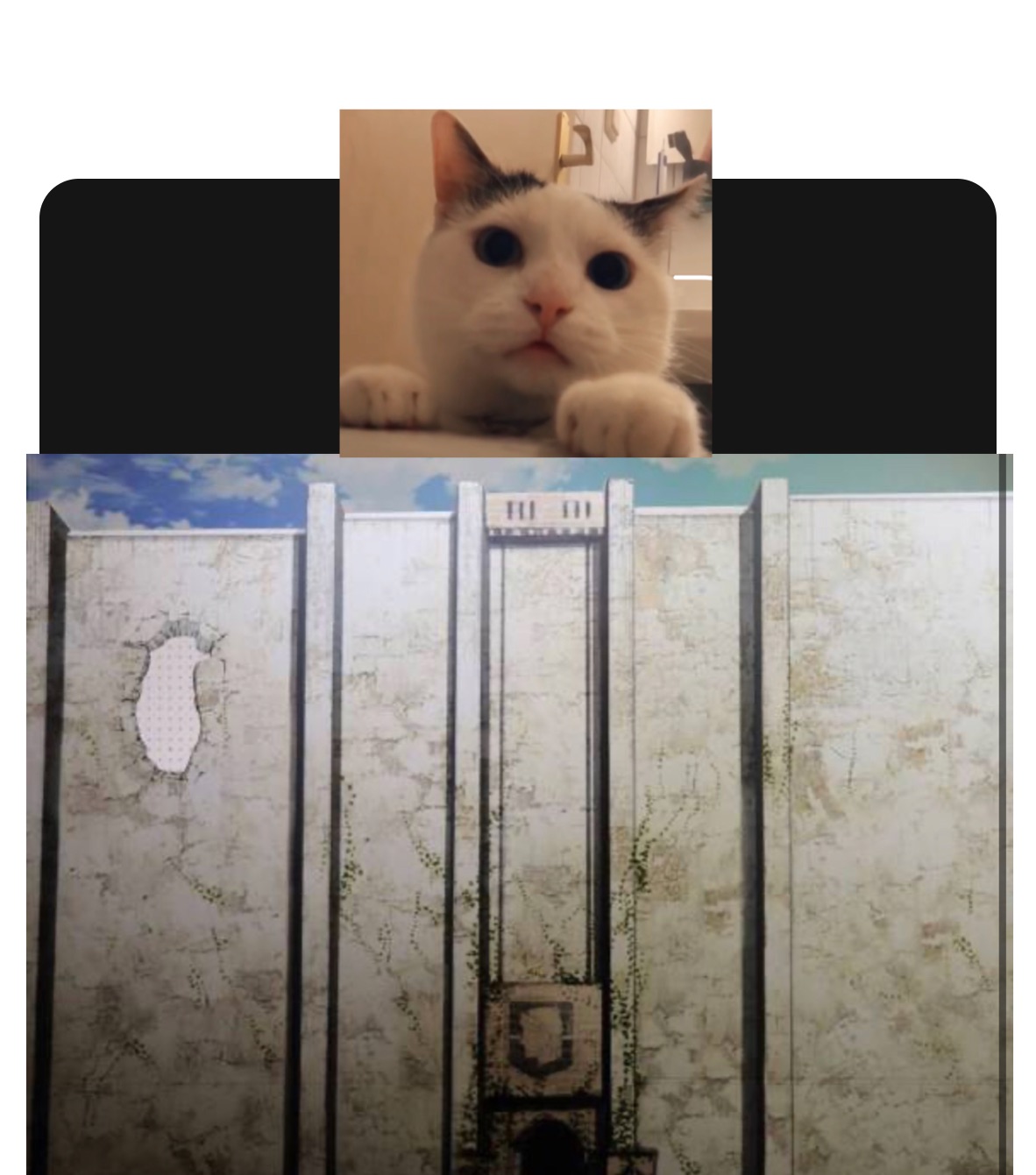 Meme by yeeeeeeeeeboi