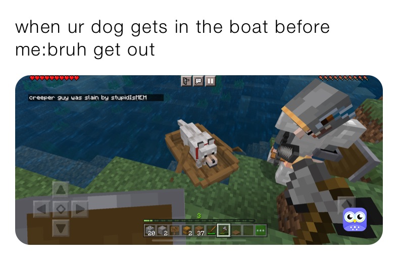 when ur dog gets in the boat before me:bruh get out