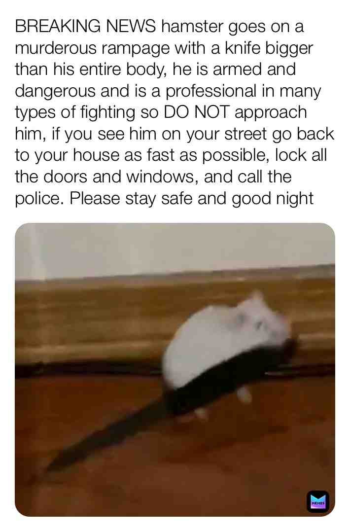 ​ #memes  #funny