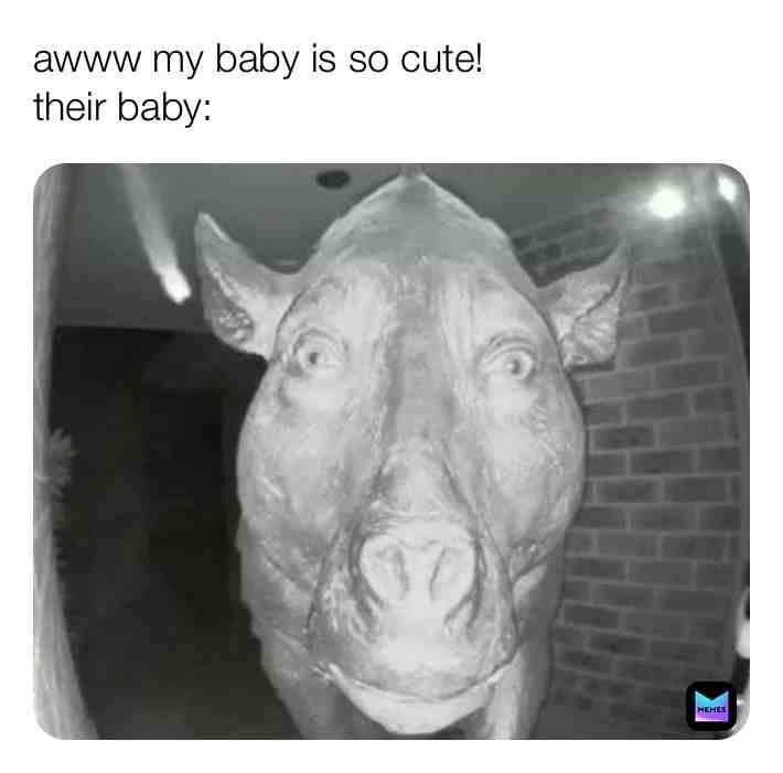 ​ #memes  #funny