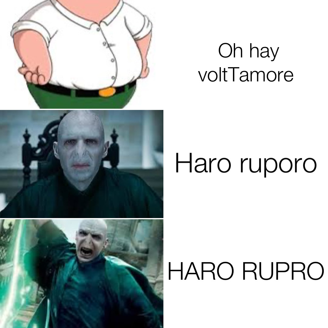 Oh hay voltTamore Haro ruporo HARO RUPRO