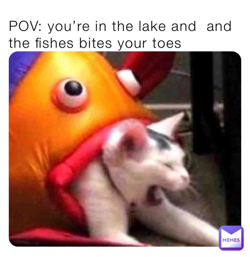 Meme shared by @ytysthwjj9
