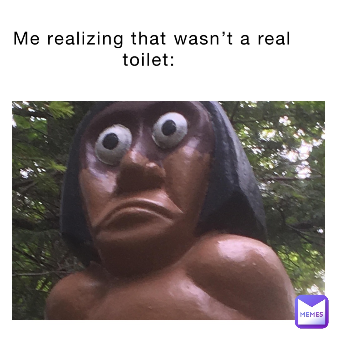 Me realizing that wasn’t a real toilet: