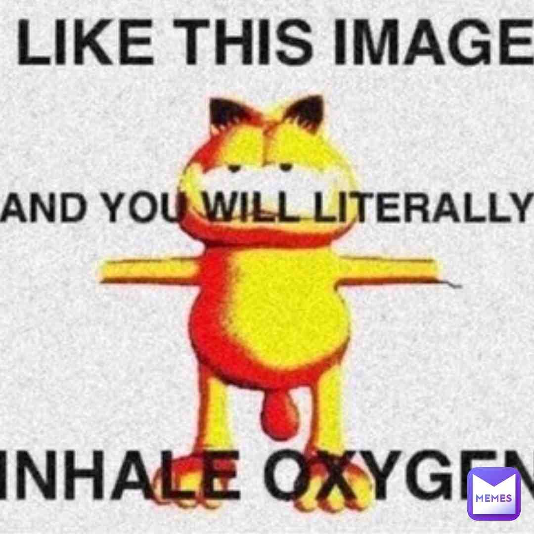 #yeetbeans