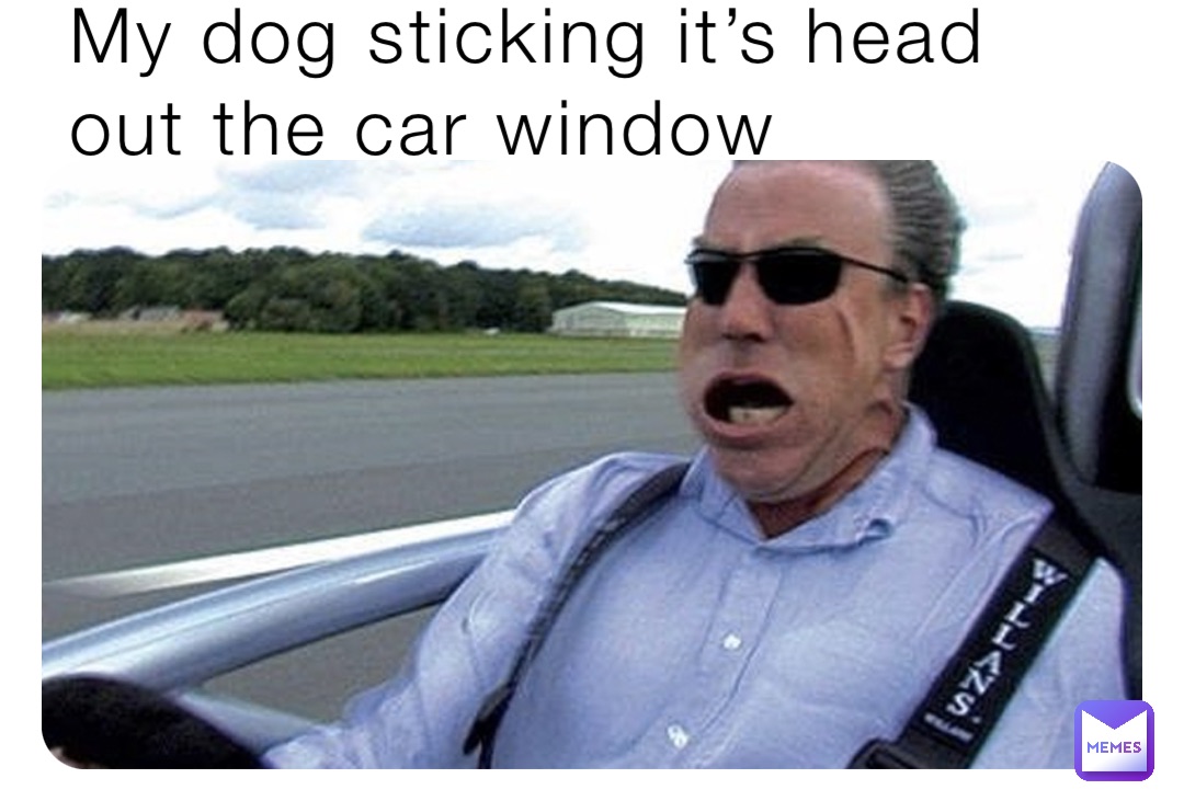 My dog sticking it’s head out the car window