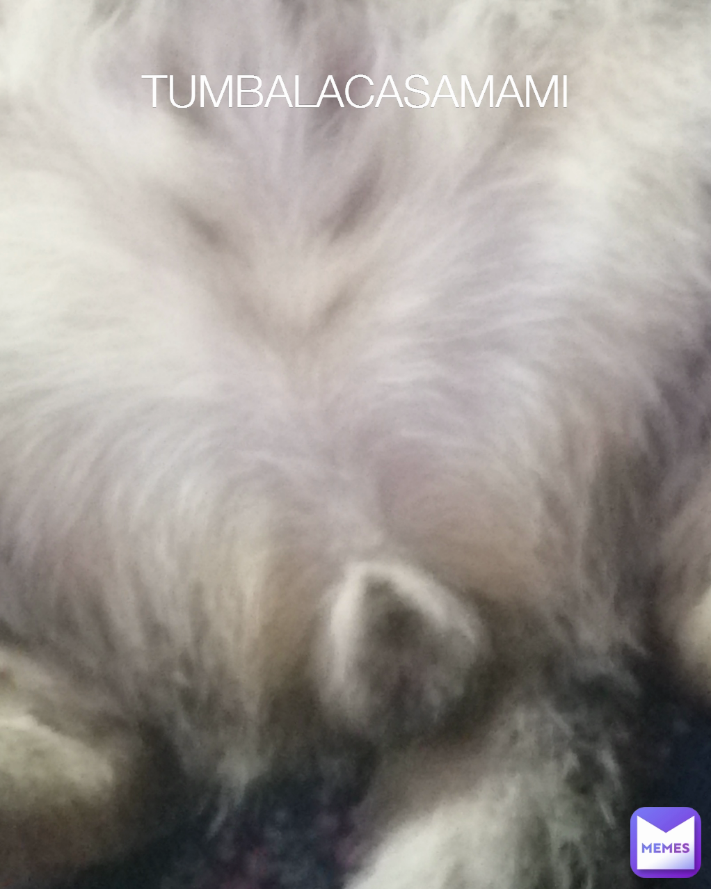 Meme by K0MIySUSmemesRAR0S