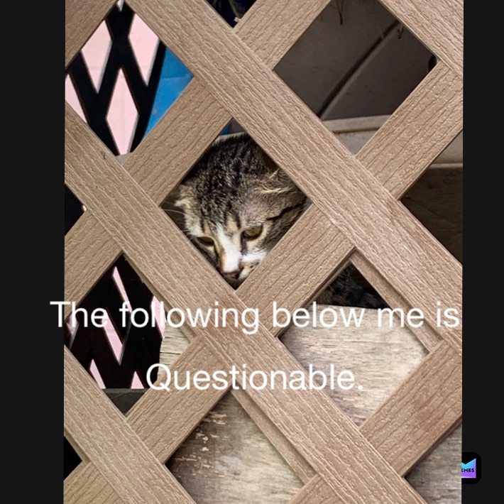 Meme by plastic_oofboi