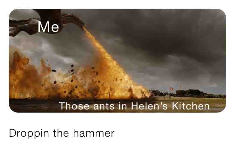 Meme shared by @rsuttontech