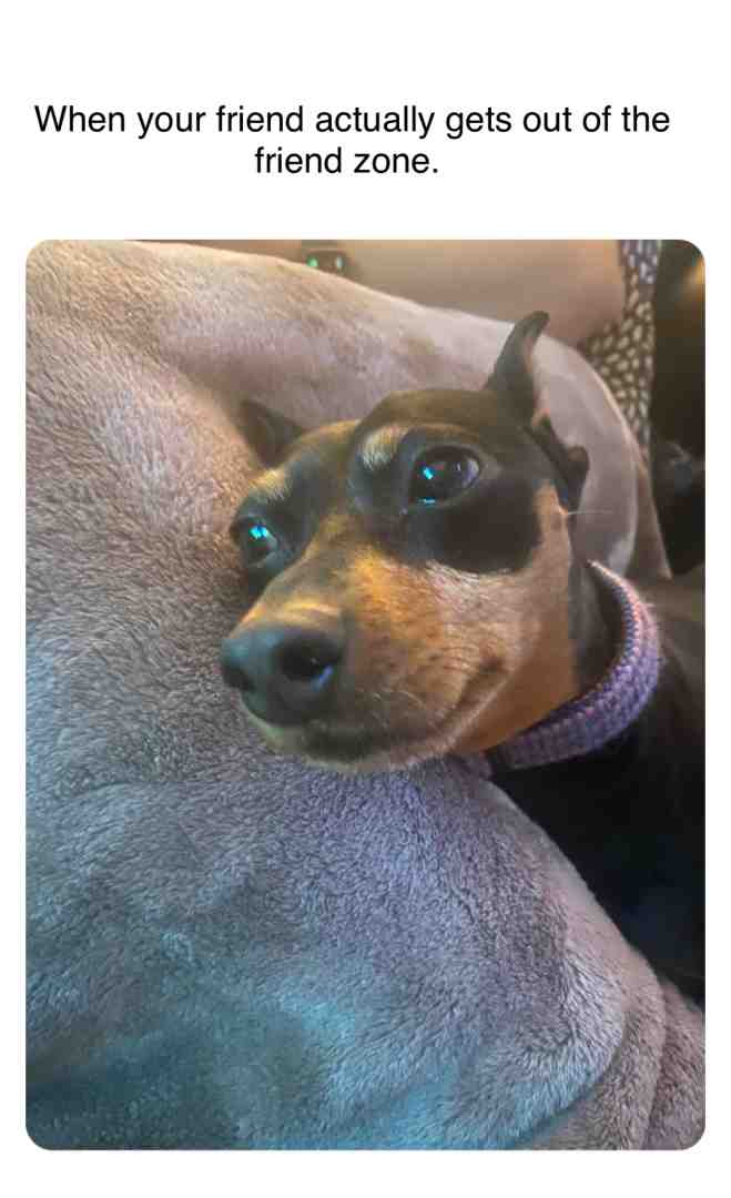 You son of a bitch you did it
