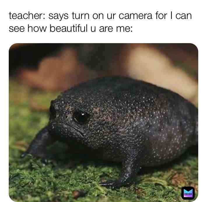 Meme shared by @Melaniegachamusic