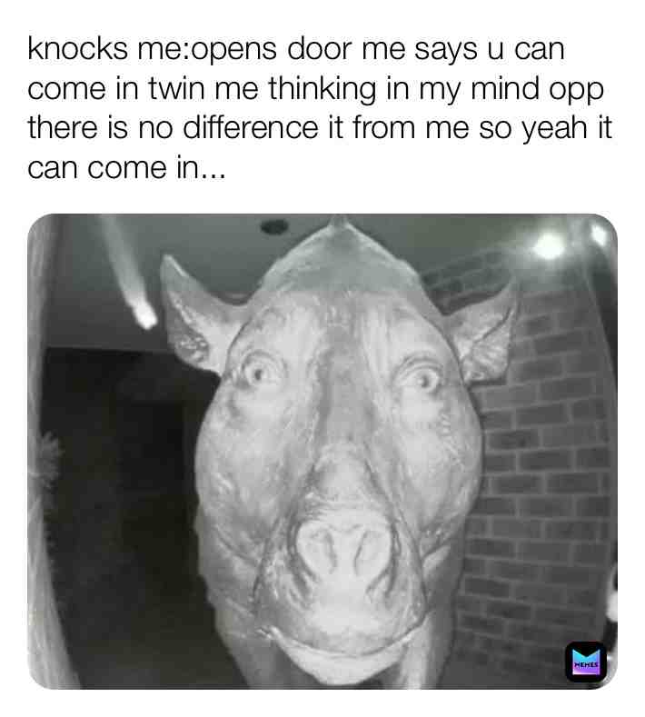 Meme shared by @Melaniegachamusic