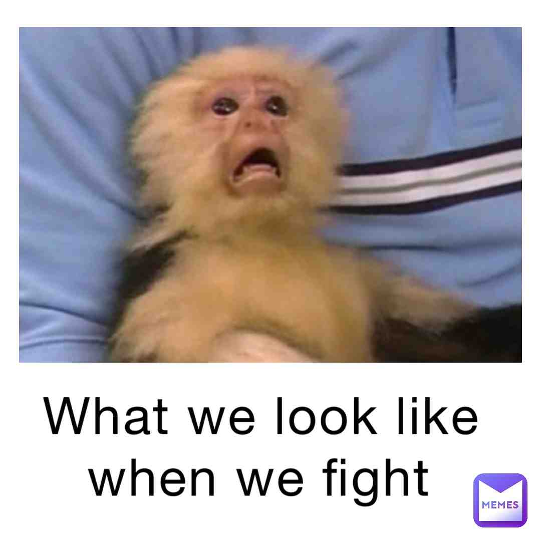 Fight!